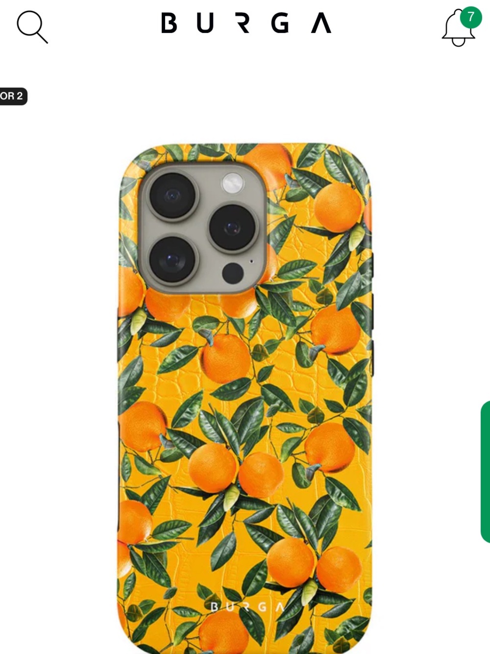BURGA orange grove iPhone case